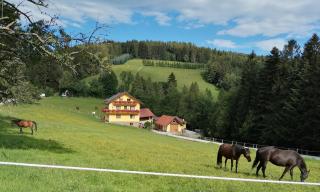 Urlaub am Bauernhof Familie Kitting - Vorau - 9
