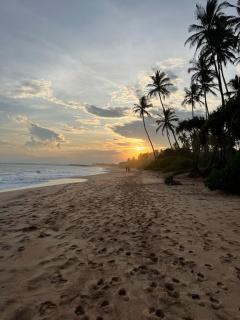 All View Resort - Tangalle - 4