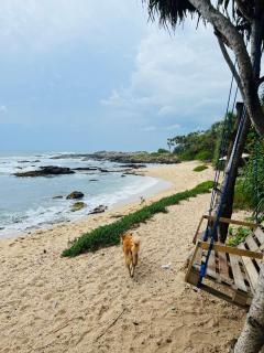 All View Resort - Tangalle - 6
