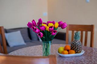 Dr. Jo~ 2 bedroom apartment with free parking ~ - 0