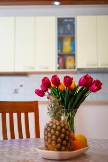 Dr. Jo~ 2 bedroom apartment with free parking ~ - 7