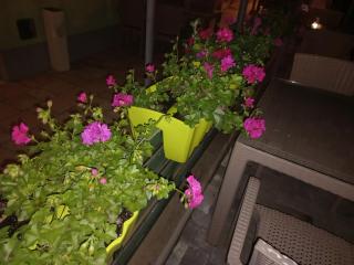 Apartments Valentino - 9