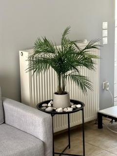 Central Tiny Loft in Argostoli - Argostoli - 7