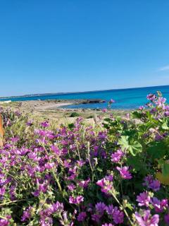 B&B LA GIARA ART - Gallipoli - 8