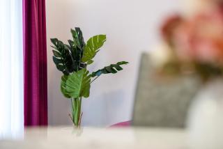 APARTMAN TOMY - Trogir - 3