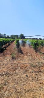 Agriturismo Bellu - Riola Sardo - 6