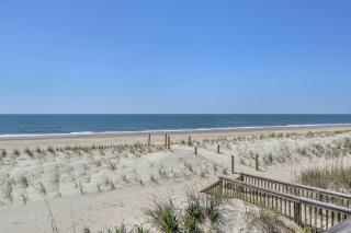Sea and Stars - Oak Island - 8