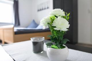 Heide Ferienwohnung Süd - Schneverdingen - 8
