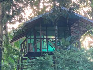 Rio Agujitas Eco Farm hostel and Tours - Drake - 8