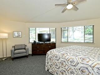 Blue Agave Bungalow - Community Poolhot Tub #14 - Lakeway - 4