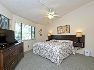 Lakefront Bungalow With Community Poolhot Tub #9 - Lakeway - 2