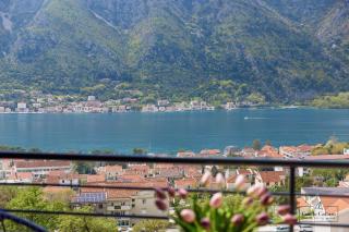 Condo Cattaro - Kotor (Cattaro) - 3