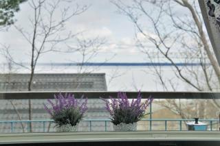 Cozy studio in Tampere for 4 with own Sauna,balcony and a free parking - Tampere - 1