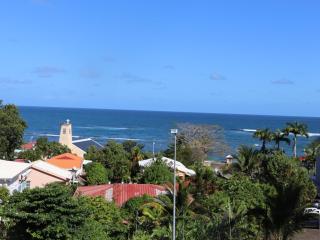 La Belle Caravelle de Martinique - La Trinité - 8