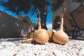 Casa Pierides - Tavronitis - 6