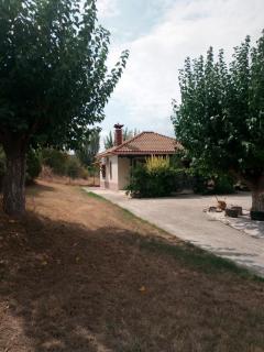 The House in the Mulberries Trees - Metangítsion - 6