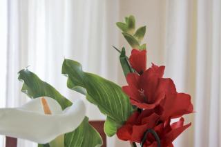Villa Currina - 7801 - Castillo - 6