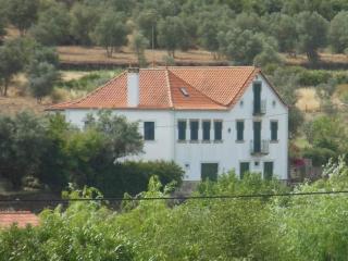 Quinta da Barbosa - Folgosinho - 9