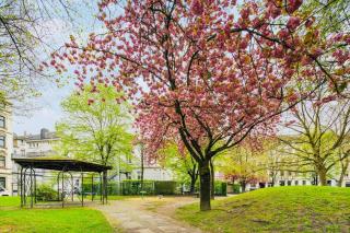 Wuppertaler Altbau-Traum Gutenberg - Nähe DUS & Dortmund & Köln & Essen - Wuppertal - 8