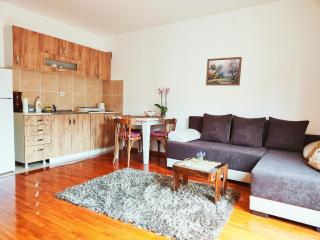 Apartman 5ra - Vrnjačka Banja - 6
