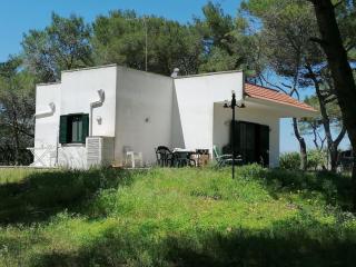 The Shining House near the sea - 8