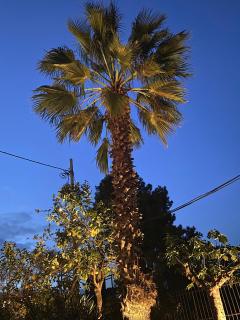 Sand by Aestas Suites - Artemida - 7