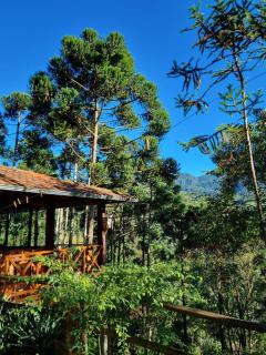 Casa Araucária - Visconde De Maua - 9