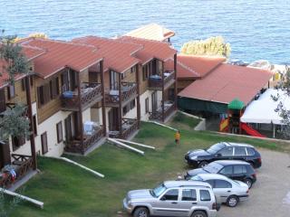Wooden Nest - 9