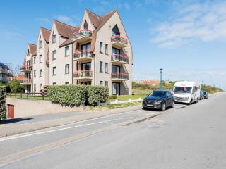 Hawthorn 1-3 g spacious apartment near the sea - Sint-Idesbald - 5