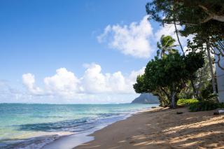 Breezy Beachfront Bali-Style Haven 180 Degree OceanView - 0