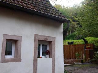 L'Atelier des Ombelles - Bergholtz-Zell - 6