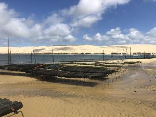 Ville les flots bleus Proche golf Arcachon - La Teste-de-Buch - 3