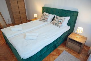 Apart Relax Turda - Turda - 6