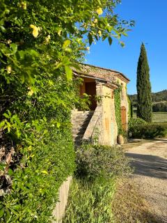 Château du Grand Jas - Entrecasteaux - 1