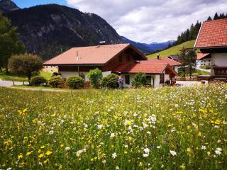 Haus Steinkarblick und Berghäusl - Berwang - 3
