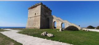 Casa vacanze (Totò e Pompilia) - Campi Salentina - 6