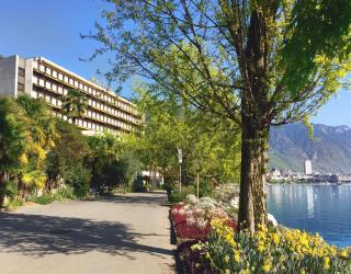 Royal Plaza Montreux - Montreux - 0