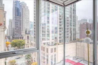 River N 1BR w Gym Pool WD nr L CHI-124 - 4