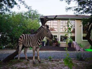 The Castello at Kruger - Marloth Park - 9