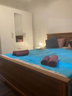 App Goga - Umag - 9