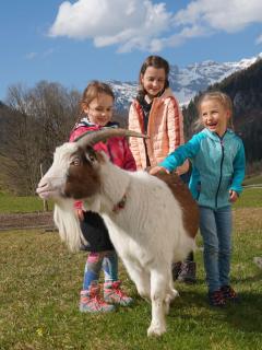 Ferienwohnungen Foidlhof - Hochfilzen - 2