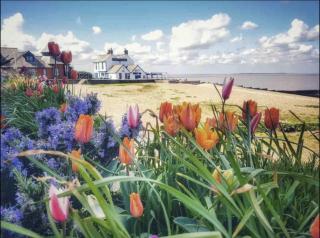 Sea La Vie - central home w BBQ, Sunny Patio, Luxurious interiors and seconds from Beach - Kent - 7