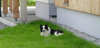 Ferienhaus Strohschneider - 4