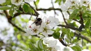 Ferienhaus Strohschneider - 3
