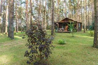 Urlaub im Bungalow mitten im Wald - Lütow - 9