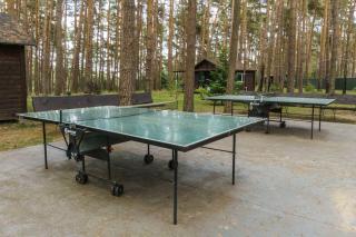 Urlaub im Bungalow mitten im Wald - Lütow - 7