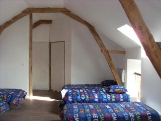 Gite Clos Robin - Torcé-en-Charnie - 7