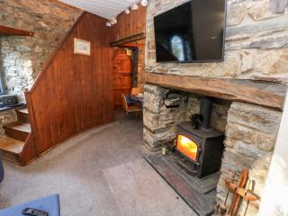 Llwyngwair Lodge - Newport - 7