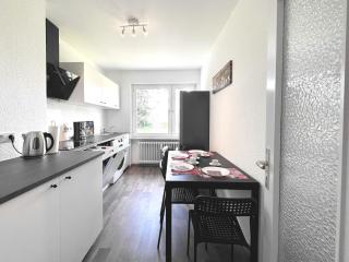 VAZ Apartments Freiheit 2 für Monteure, Küche, TV, WLAN, Balkon - 5