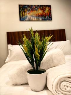 LS Mansion One - George Town - 2